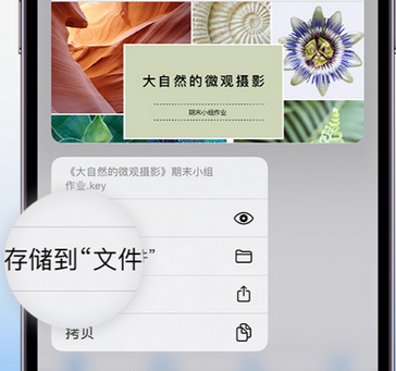 尉犁apple维修中心分享iPhone文件应用中存储和找到下载文件