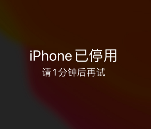 尉犁苹果手机维修分享:iPhone 显示“不可用”或“已停用”怎么办？还能保留数据吗？ 