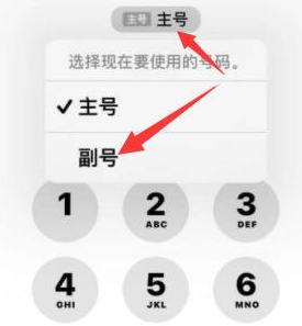 尉犁苹果14维修店分享iPhone 14 Pro Max使用副卡打电话的方法 