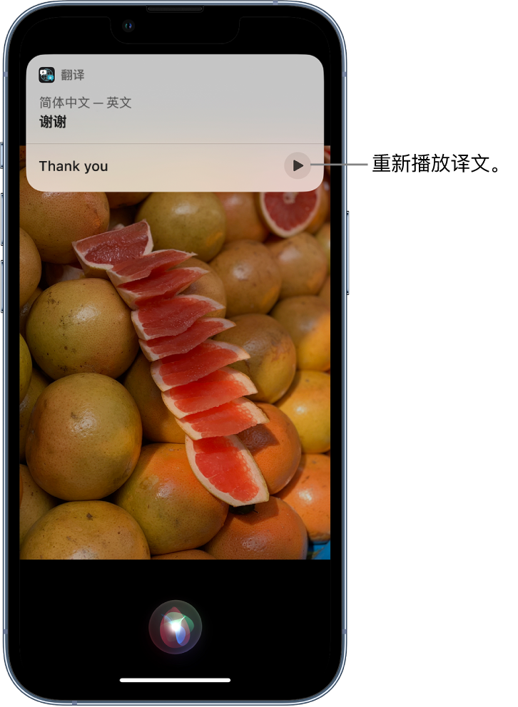 尉犁苹果14维修分享 iPhone 14 机型中使用 Siri：了解 Siri 能帮你做什么 