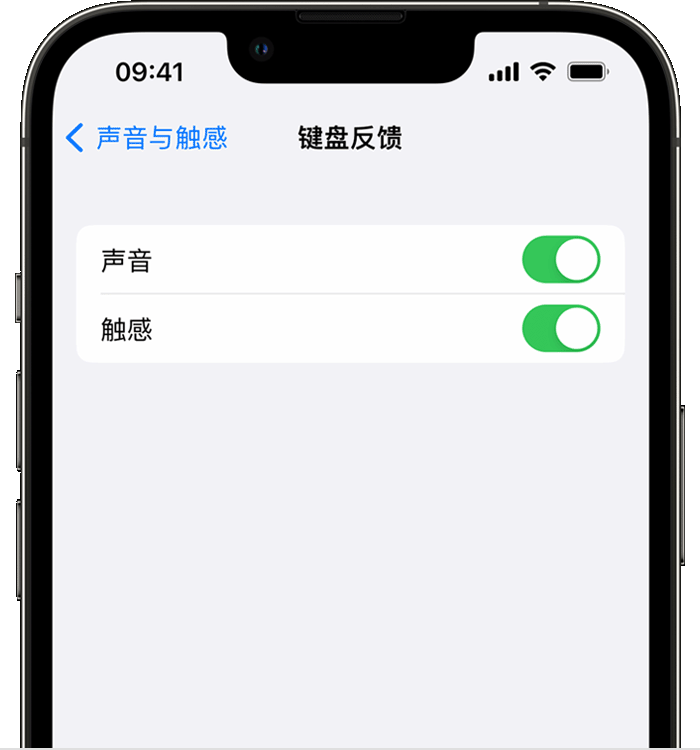尉犁苹果14维修分享iPhone 14 系列机型如何开启键盘声音或触感反馈 