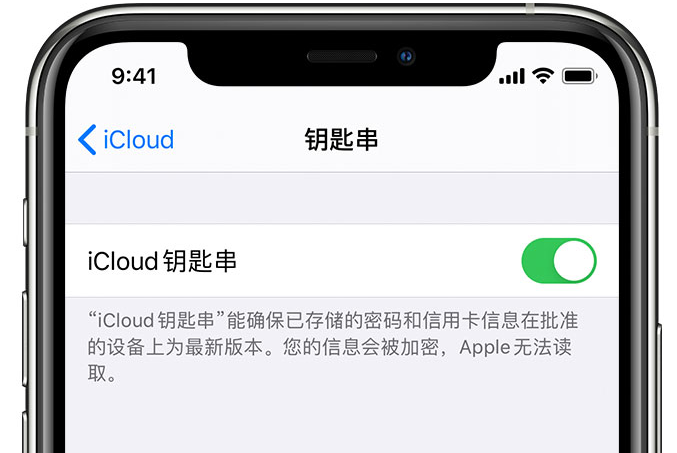 尉犁苹果手机维修分享在 iPhone 上开启 iCloud 钥匙串之后会储存哪些信息 