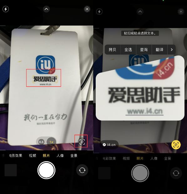 尉犁苹果手机维修分享升级iOS 16后如何通过相机翻译文本 