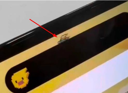 尉犁苹果14维修分享iPhone 14 Pro Max灵动岛怎么养宠物 