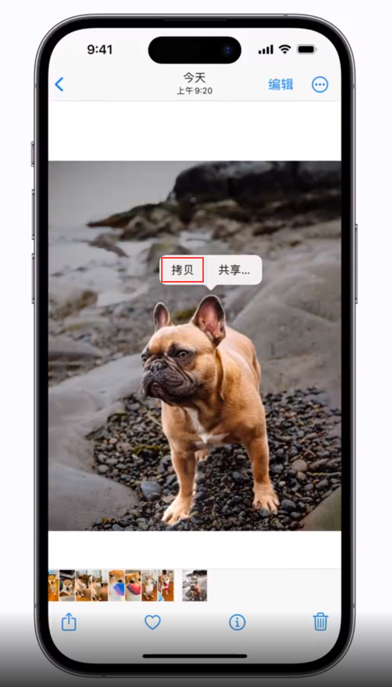 尉犁苹果手机维修分享 iOS 16 自带一键抠图功能 