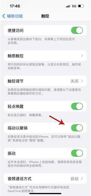 尉犁苹果手机维修分享iPhone手机如何设置摇一摇删除文字 