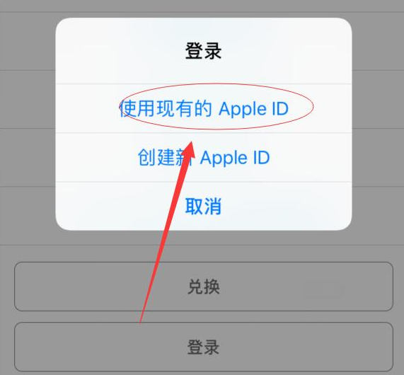 尉犁苹果手机维修分享两台iPhone设备可以同时登录一个Apple ID吗 