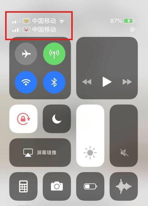 尉犁苹果手机维修分享为 iPhone 12 双卡设置标签 