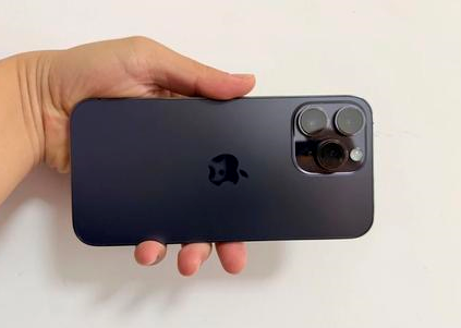 尉犁苹果维修点分享iPhone 14 Pro Max黑屏少见故障盘点 
